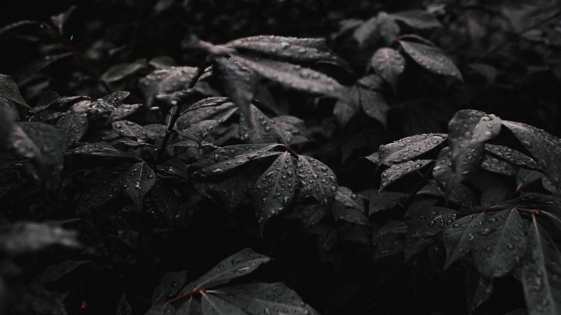 南通新创力-模具检具生产车间